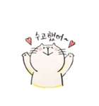 My little CAT(Korean ver.)（個別スタンプ：16）