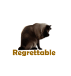PhePhe Meow 1（個別スタンプ：2）