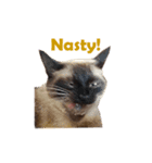 PhePhe Meow 1（個別スタンプ：6）