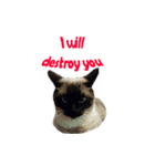 PhePhe Meow 2（個別スタンプ：4）