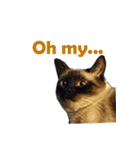 PhePhe Meow 2（個別スタンプ：7）