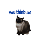 PhePhe Meow 2（個別スタンプ：13）
