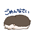 むっちりハリネズミくん（個別スタンプ：26）