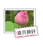 lotus greeting card（個別スタンプ：7）