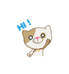 Choco Cat - Pack 1（個別スタンプ：1）