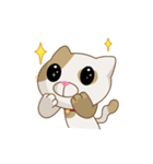Choco Cat - Pack 1（個別スタンプ：15）