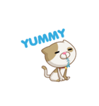Choco Cat - Pack 1（個別スタンプ：16）