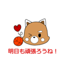 バスケット・パンダこぱん2（個別スタンプ：38）