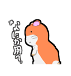 なかよしこよしの3匹スタンプ（個別スタンプ：13）
