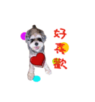 My Schnauzer V（個別スタンプ：2）