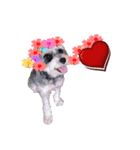 My Schnauzer V（個別スタンプ：9）