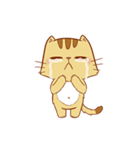 Brown Funny Cat (EN)（個別スタンプ：7）