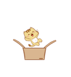 Brown Funny Cat (EN)（個別スタンプ：17）