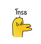 Mr.duck by phet（個別スタンプ：12）