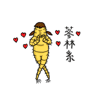 The life of Ginseng part 2（個別スタンプ：6）