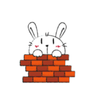 Dou bu lei dou Rabbit-Mr. Dou bu（個別スタンプ：36）