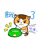 Straycat's Family (Daily Greetings)（個別スタンプ：27）