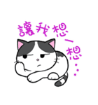 Straycat's Family (Daily Greetings)（個別スタンプ：30）