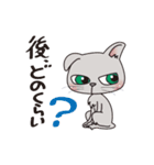 呑気な3匹の猫たち（個別スタンプ：1）