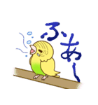 セキセイインコのポッポちゃん（個別スタンプ：2）