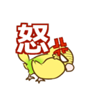 セキセイインコのポッポちゃん（個別スタンプ：10）