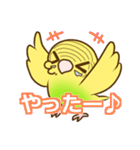 セキセイインコのポッポちゃん（個別スタンプ：17）