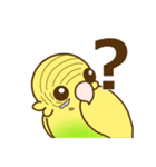 セキセイインコのポッポちゃん（個別スタンプ：19）