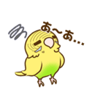 セキセイインコのポッポちゃん（個別スタンプ：21）