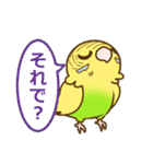 セキセイインコのポッポちゃん（個別スタンプ：24）