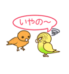 セキセイインコのポッポちゃん（個別スタンプ：25）