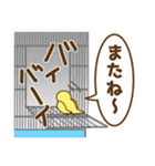 セキセイインコのポッポちゃん（個別スタンプ：29）