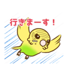 セキセイインコのポッポちゃん（個別スタンプ：31）