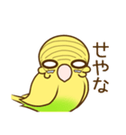 セキセイインコのポッポちゃん（個別スタンプ：37）