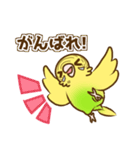 セキセイインコのポッポちゃん（個別スタンプ：38）