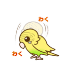 セキセイインコのポッポちゃん（個別スタンプ：40）