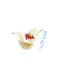 happy lily everyday（個別スタンプ：2）