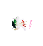 happy lily everyday（個別スタンプ：12）