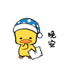 Curly hair chicken ＆ Smile duck（個別スタンプ：1）