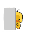 Curly hair chicken ＆ Smile duck（個別スタンプ：5）