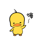 Curly hair chicken ＆ Smile duck（個別スタンプ：16）