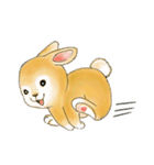 Baby rabbit Ato（個別スタンプ：3）