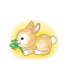 Baby rabbit Ato（個別スタンプ：8）