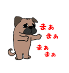 パグ犬の日常（個別スタンプ：3）