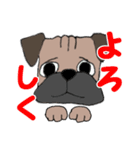 パグ犬の日常（個別スタンプ：8）