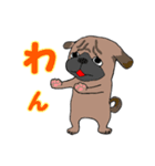 パグ犬の日常（個別スタンプ：14）