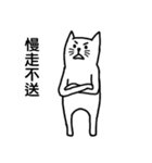 White cat,Black cat（個別スタンプ：17）