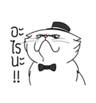 white evil cat（個別スタンプ：5）