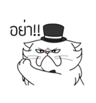 white evil cat（個別スタンプ：31）