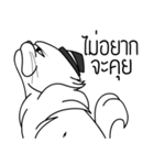 white evil cat（個別スタンプ：34）