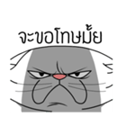 white evil cat（個別スタンプ：40）
